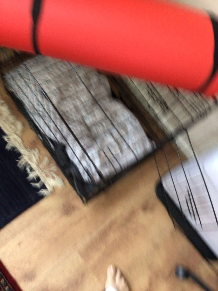 Red bed roll exercise mat