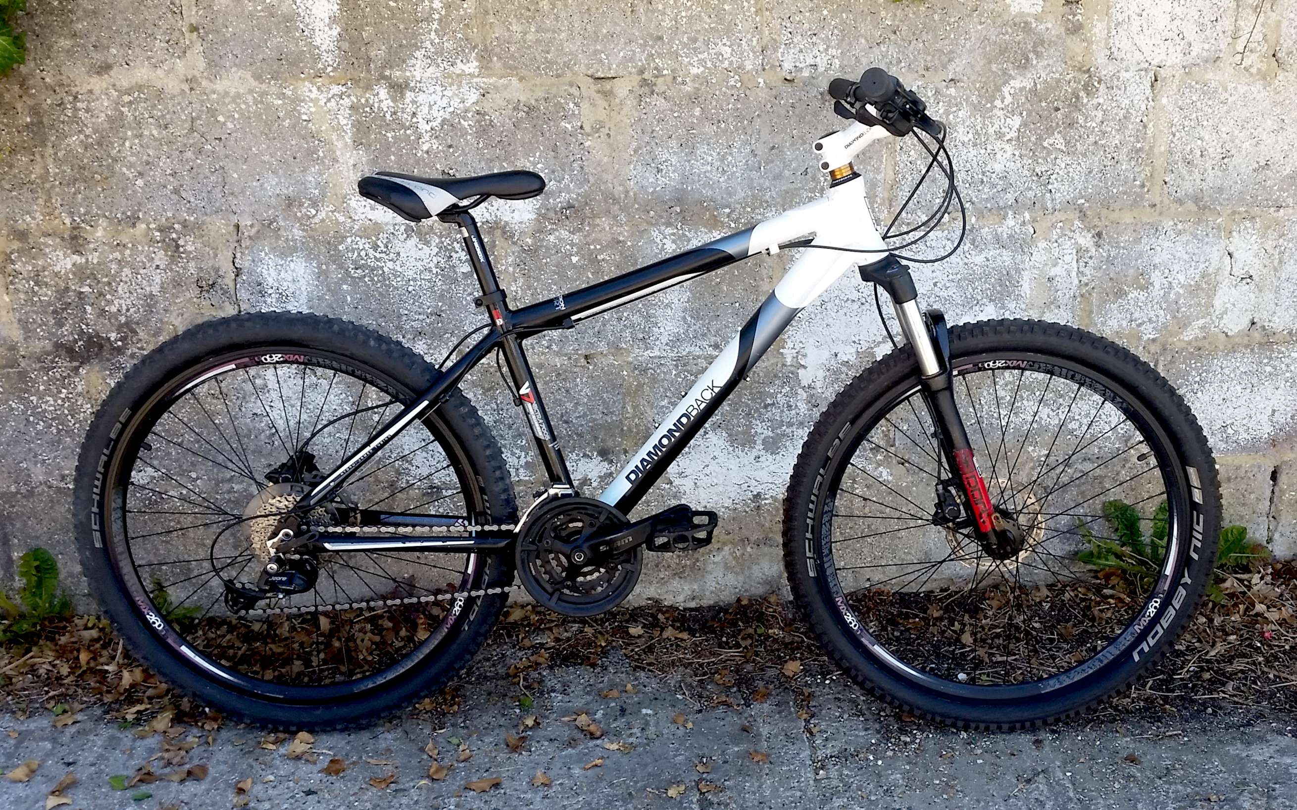MOUNTAIN BIKE: Please Read The Entire Post Before You Reply