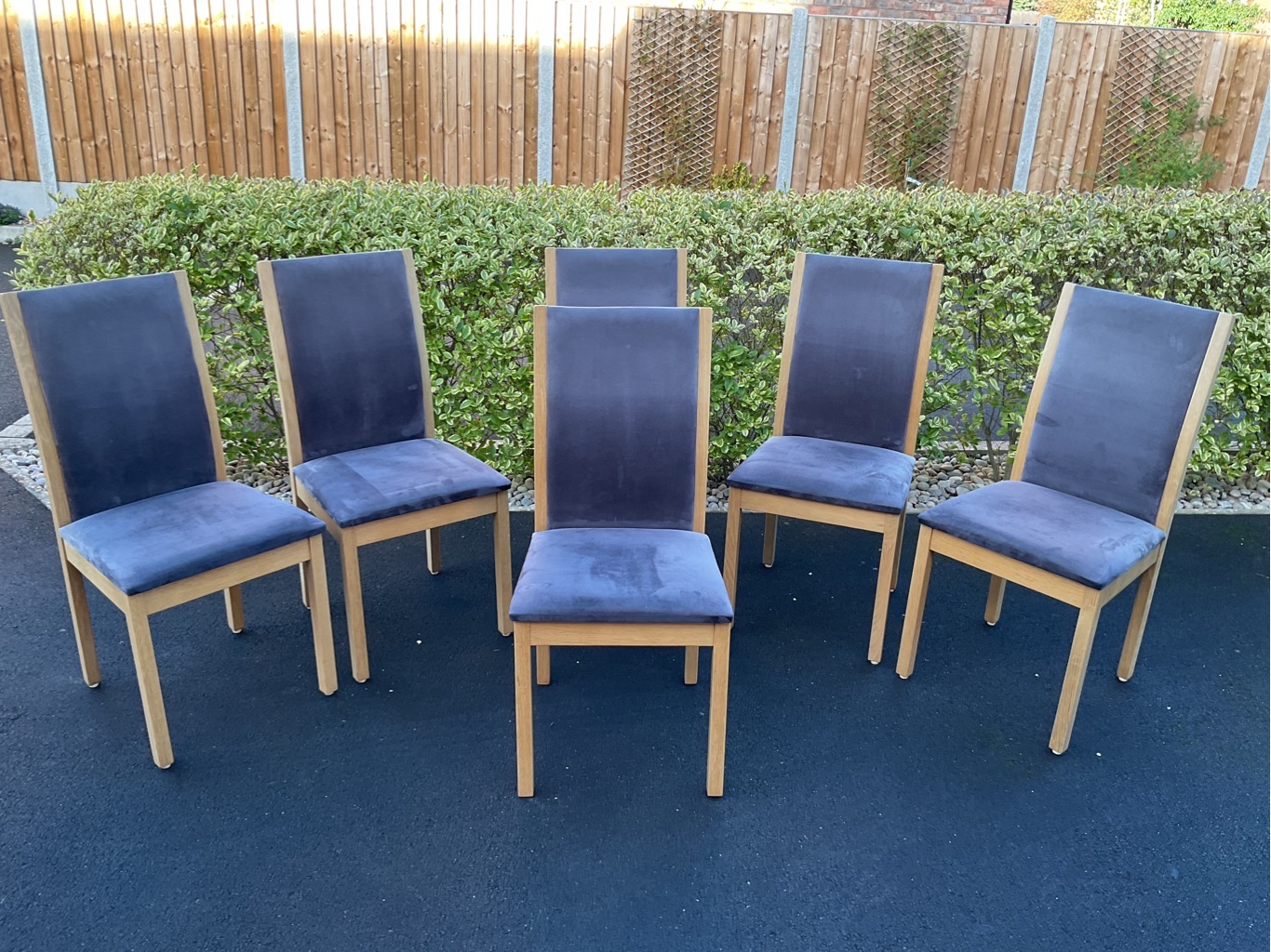 6 Dining Chairs