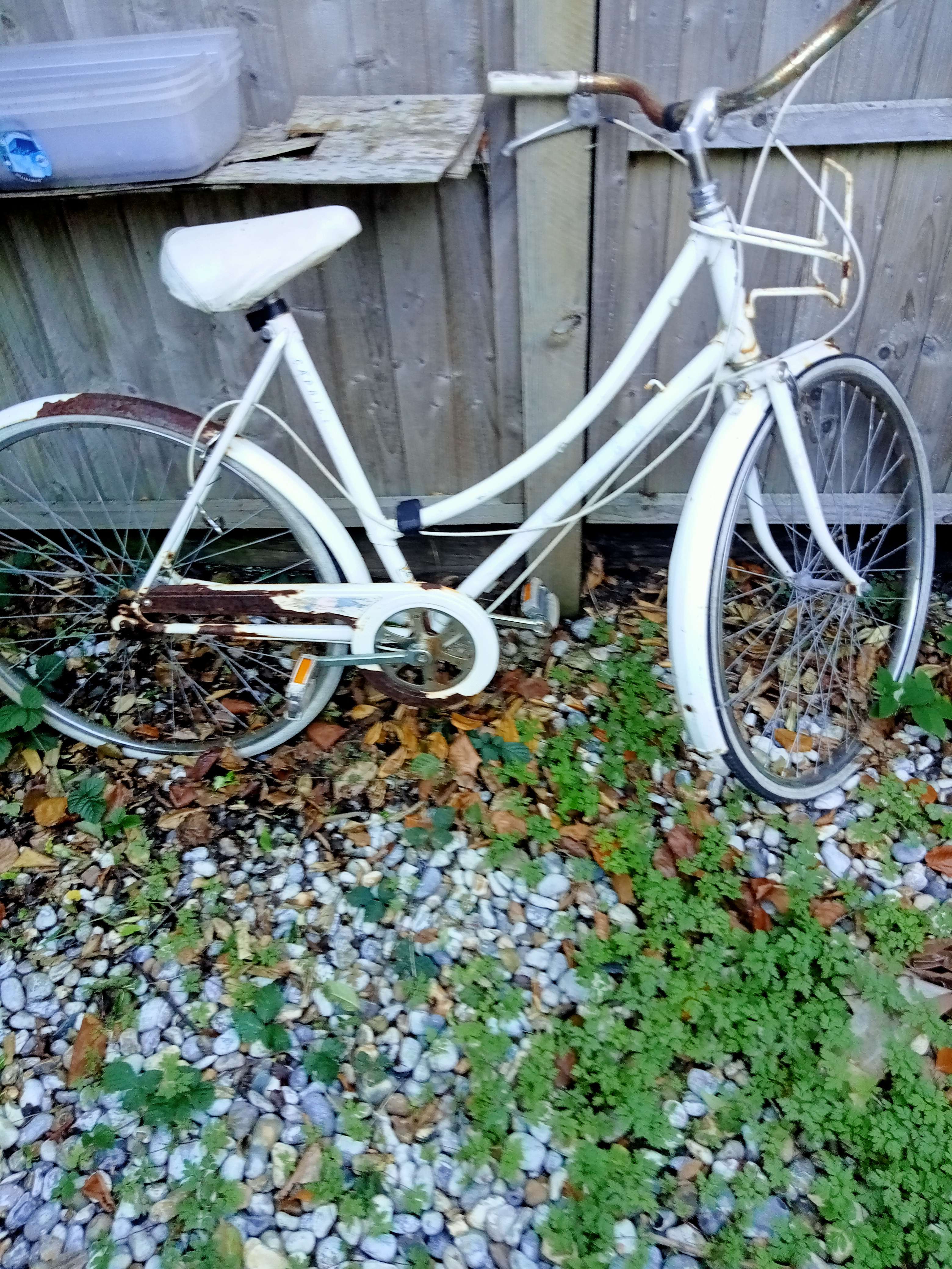 Raleigh Caprice ladies bicycle