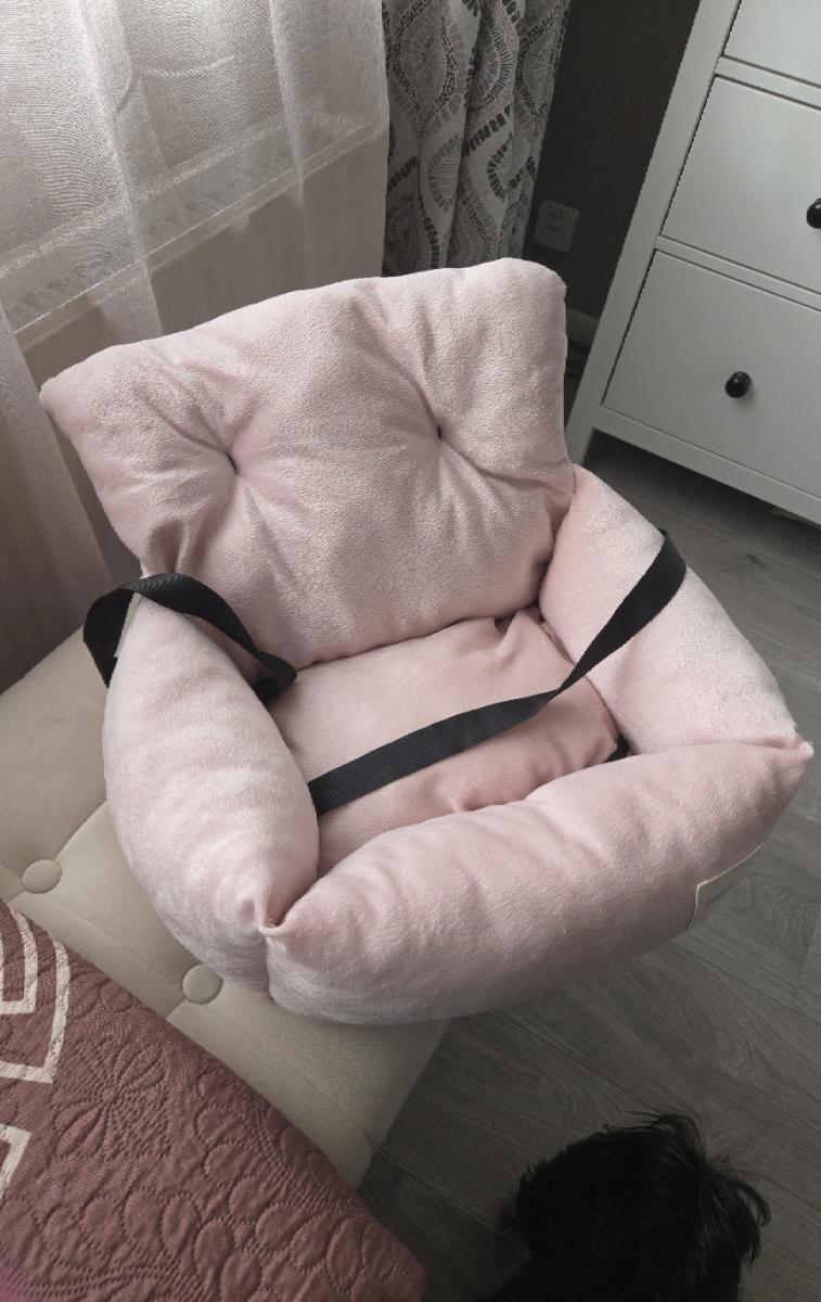 X small dog car bed